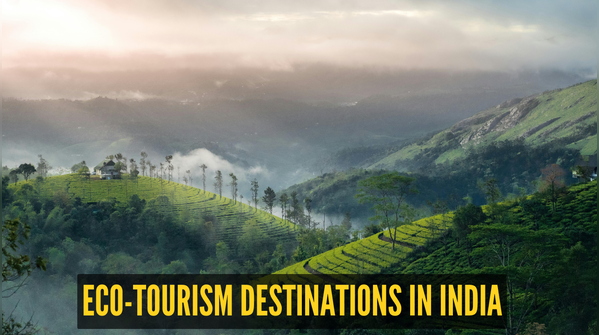 World Environment Day 2026: 5 eco-tourism destinations in India that are saving nature while welcoming travellers