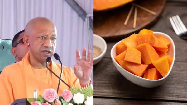 Yogi_ Photos