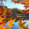 Visit parks, lakes, and nature centers