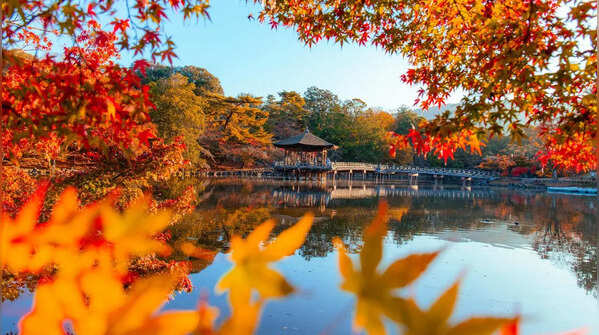 Visit parks, lakes, and nature centers
