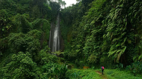 Explore nature through all five senses