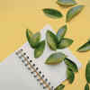 Encourage nature journaling