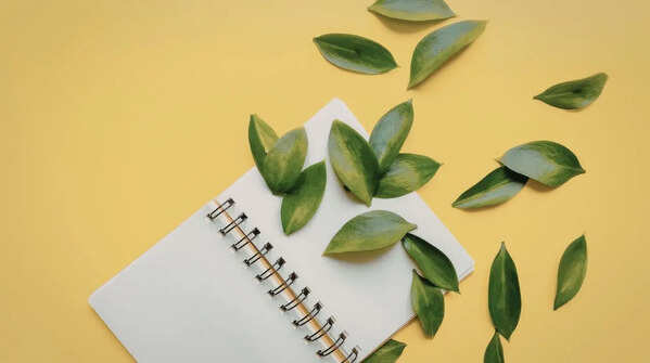 Encourage nature journaling