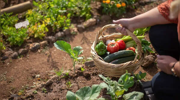 Create a small garden
