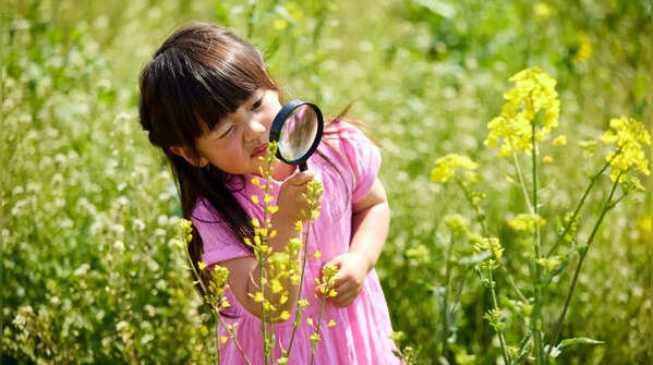 10 exciting ways to spark your child’s curiosity about nature