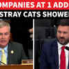 &lsquo;Stray Cats In Ghost Offices&rsquo;: Explosive Testimony In US Congress On Ohio Medicaid Fraud | Watch