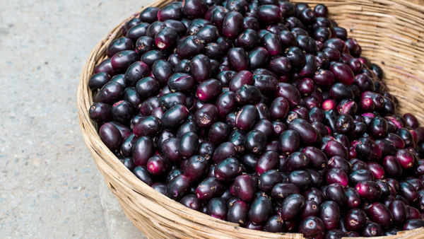 Jamun Stills