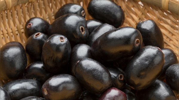 Jamun's role in blood sugar