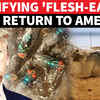 Article image for: Flesh-Eating Parasite 'Invades' Texas; Deadly Screwworm Outbreak Threatens U.S. Farmers | DETAILS