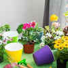Gardening makes one feel connected to nature