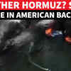 Article image for: Apocalyptic Scenes In U.S. Backyard; Dozens of Vessels Explode In Fire As Harbor Is Ablaze | WATCH
