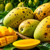 Article image for: Mango Mayday: Dark spots on produce threaten Himsagar export shipments