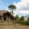 Longwa Village: India and Myanmar
