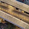 A new east-west link comes alive
