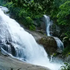 Perunthenaruvi Waterfalls, Pathanamthitta