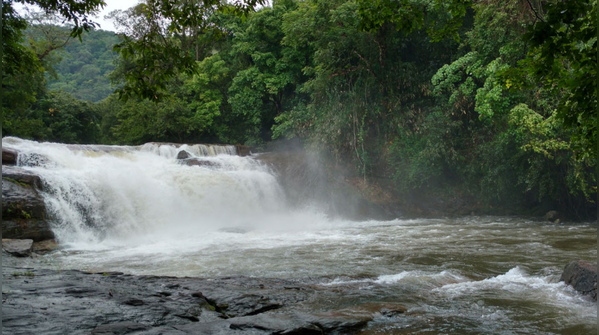 Thommankuthu Waterfalls, Idukki
