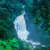 Cheeyappara Waterfalls, Idukki