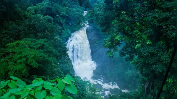 Cheeyappara Waterfalls, Idukki