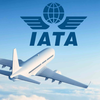 Article image for: Net-zero challenge: Sustainable aviation fuel account just 0.8% of aviation fuel use in 2026, says IATA