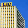 Article image for: LIC to look at long-term investment instruments