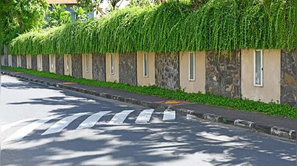 Vertical garden boundary walls – eco-friendly approach