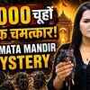 Article image for: The Untold Secret Behind Karni Mata Temple’s 25,000 Sacred Rats | Times Mantra