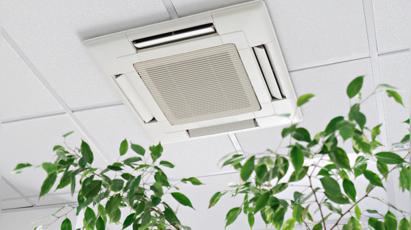 What's really floating around in office air?