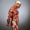 Muscle less is not just about weakness