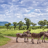 Kruger National Park, South Africa