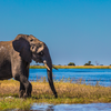 Okavango Delta, Botswana