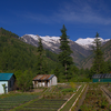 Places to visit in and around Harsil