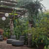 Large garden