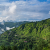 Article image for: Fagu, <i class="tbold">himachal pradesh</i>