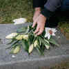 The power of remembering death