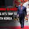 Article image for: Xi flies to North Korea - Why China is worried about Kim Jong Un and Russia