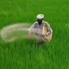 Article image for: Fertiliser ministry seeks doubling of Rs 1.71 lakh crore FY27 subsidy allocation