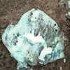 Article image for: Jellyfish cause allergies to tourists at Nagore Beach