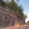 Article image for: Trees first to go in proposal for flyover, grade separator at crucial Yerawada junction