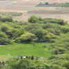 Article image for: Trees felled, land cleared on 100-acre land parcel along Dwarka Expressway corridor