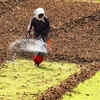 Article image for: Government raises Rs 20,000cr via disinvestment, asset sale