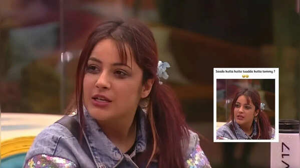 Shehnaaz Gill ('Bigg Boss 13') — "Twada kutta Tommy, sada kutta kutta?"