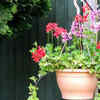 Irrigation without overwatering