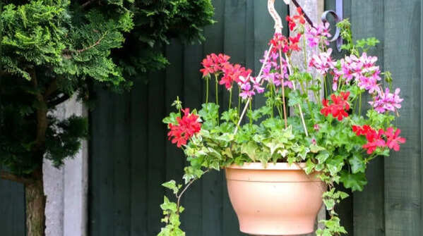 Irrigation without overwatering