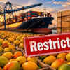 Article image for: Another blow! After Japan, Nepal restricts mango imports from India