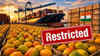 Article image for: Another blow! After Japan, Nepal restricts mango imports from India