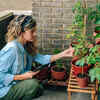 Utilise hanging planters to add layers