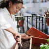 Article image for: Go for space-saving vertical gardening