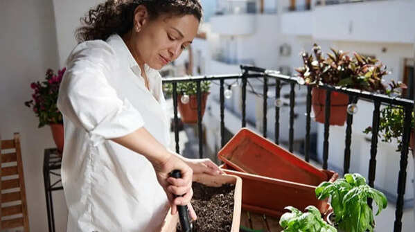 Go for space-saving vertical gardening