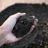 Differences in nutrient concentration