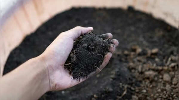 Differences in nutrient concentration